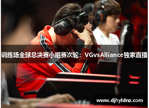 训练场全球总决赛小组赛次轮：VGvsAlliance独家直播